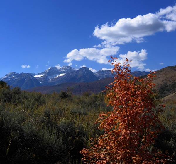 Mt. Timpanogos